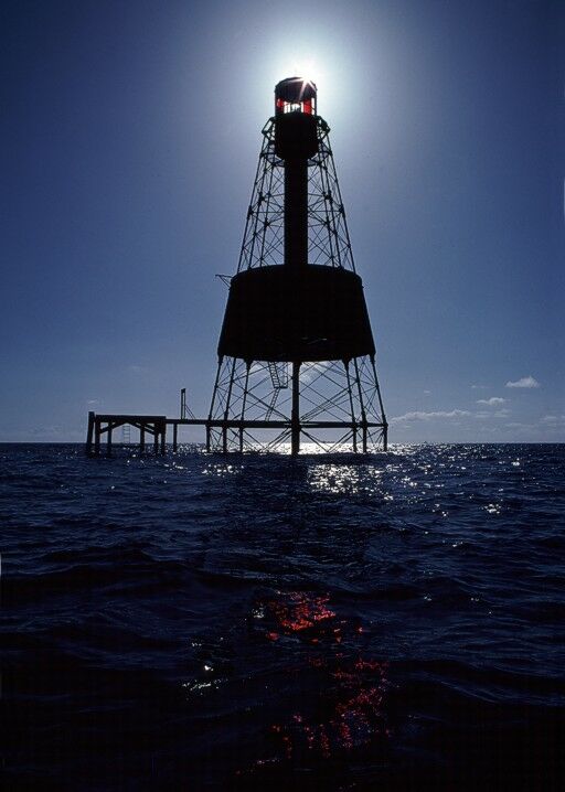 Click to See Next Image